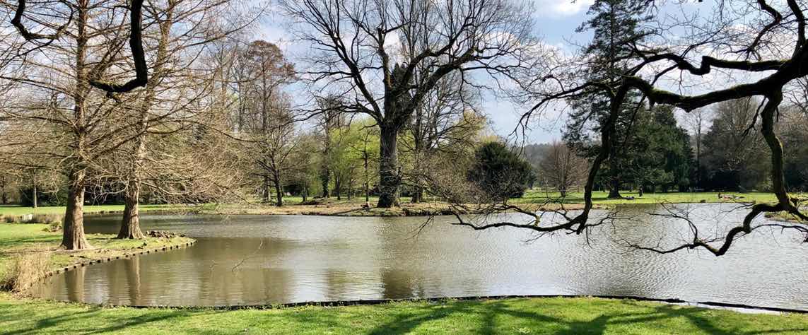 Mit Traumtagkonzept zu mehr Work Life Balance