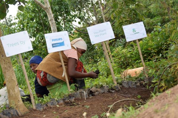 Philips Monitore stehen für Nachhaltigkeit: Wiederaufforstungs-Kampagne in Partnerschaft mit ForestNation
