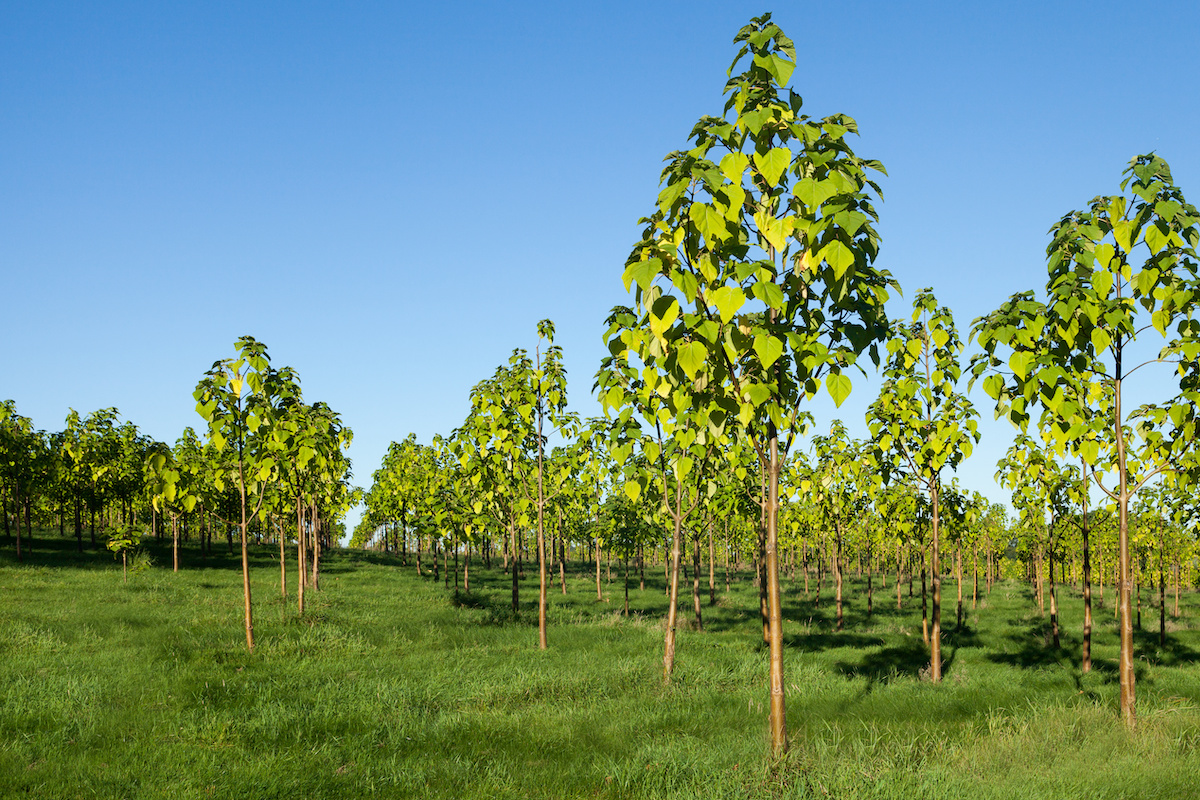 Unternehmen mit 19 Billionen USD Anlagevermögen wollen nachhaltige Investitionen stärken