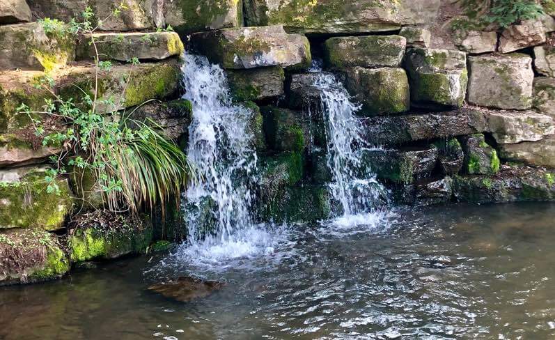 Was ist Kryotherapie und was leistet Cryoscreen?