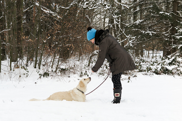 Gesünder leben mit Hund – Verbraucherinformation der ERGO Group