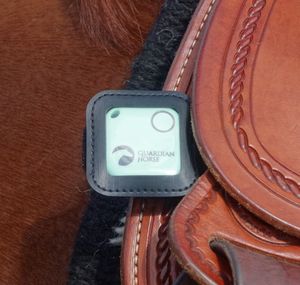 Produkttest Guardian Horse GPS Tracker auf www.mit-Pferden-reisen.de