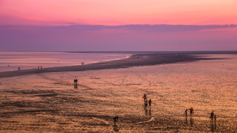 Zwischen Ebbe und Flut: Nationalpark – Niedersächsisches Wattenmeer