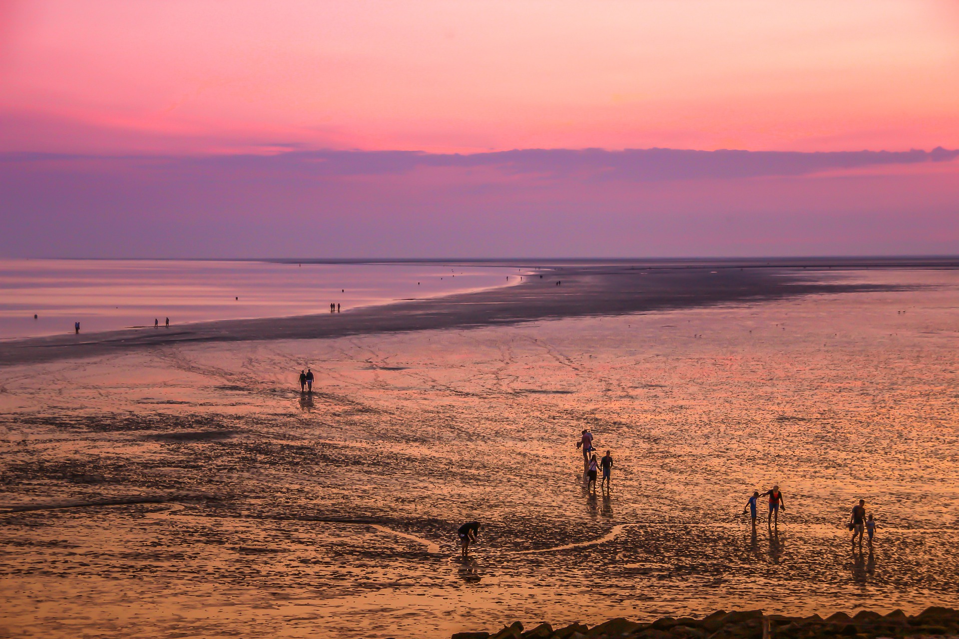 Zwischen Ebbe und Flut: Nationalpark – Niedersächsisches Wattenmeer