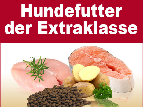Getreidefreies Hundefutter der Superlative