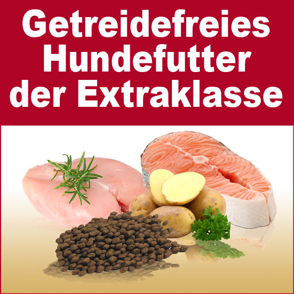 Getreidefreies Hundefutter der Superlative