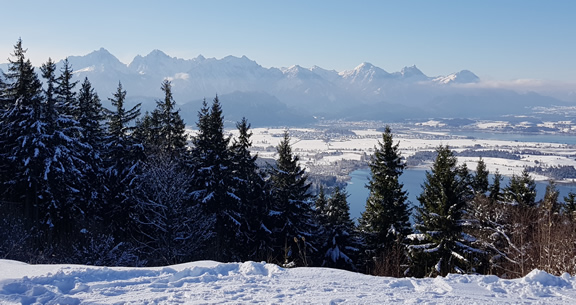 Ausblick auf 2021 vom Team-Issler