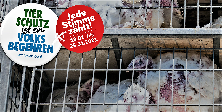 Tierschutzvolksbegehren will Tierleid beenden und Bewusstseinsbildung schaffen