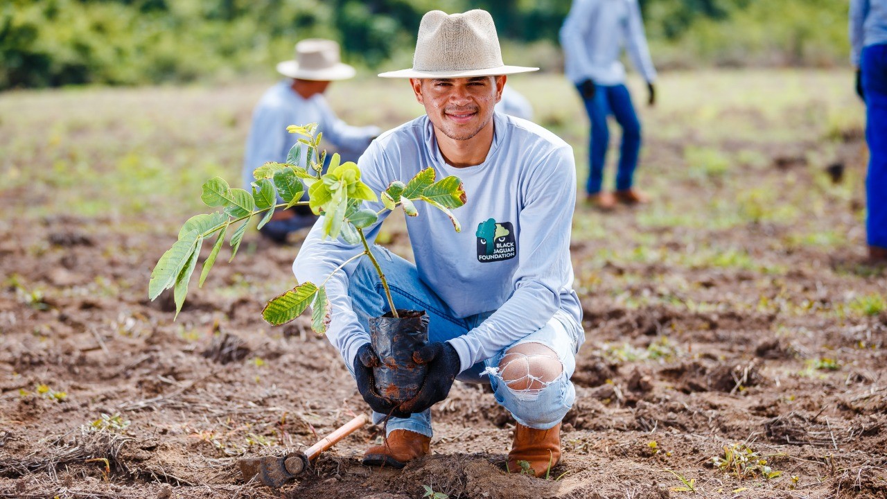 3.480 EUR für den Brasilianischen Regenwald