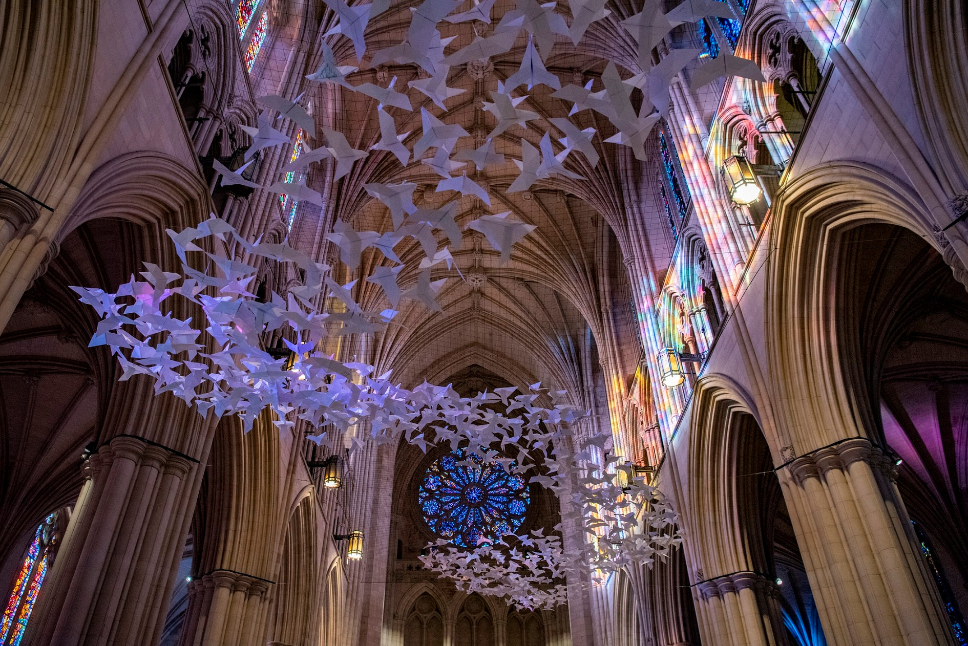 Symbole der Hoffnung und Zuversicht: Über 2.000 Papiertauben schweben in der National Cathedral in Washington, DC