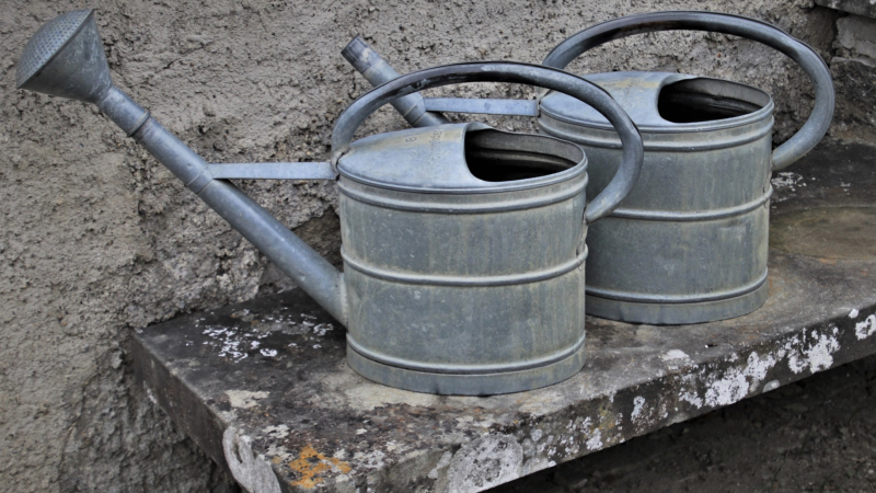 Die Tücken des guten Willens im Coronajahr