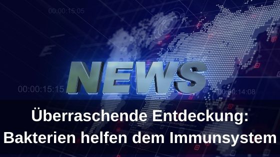 Überraschende Entdeckung: Bakterien helfen dem Immunsystem