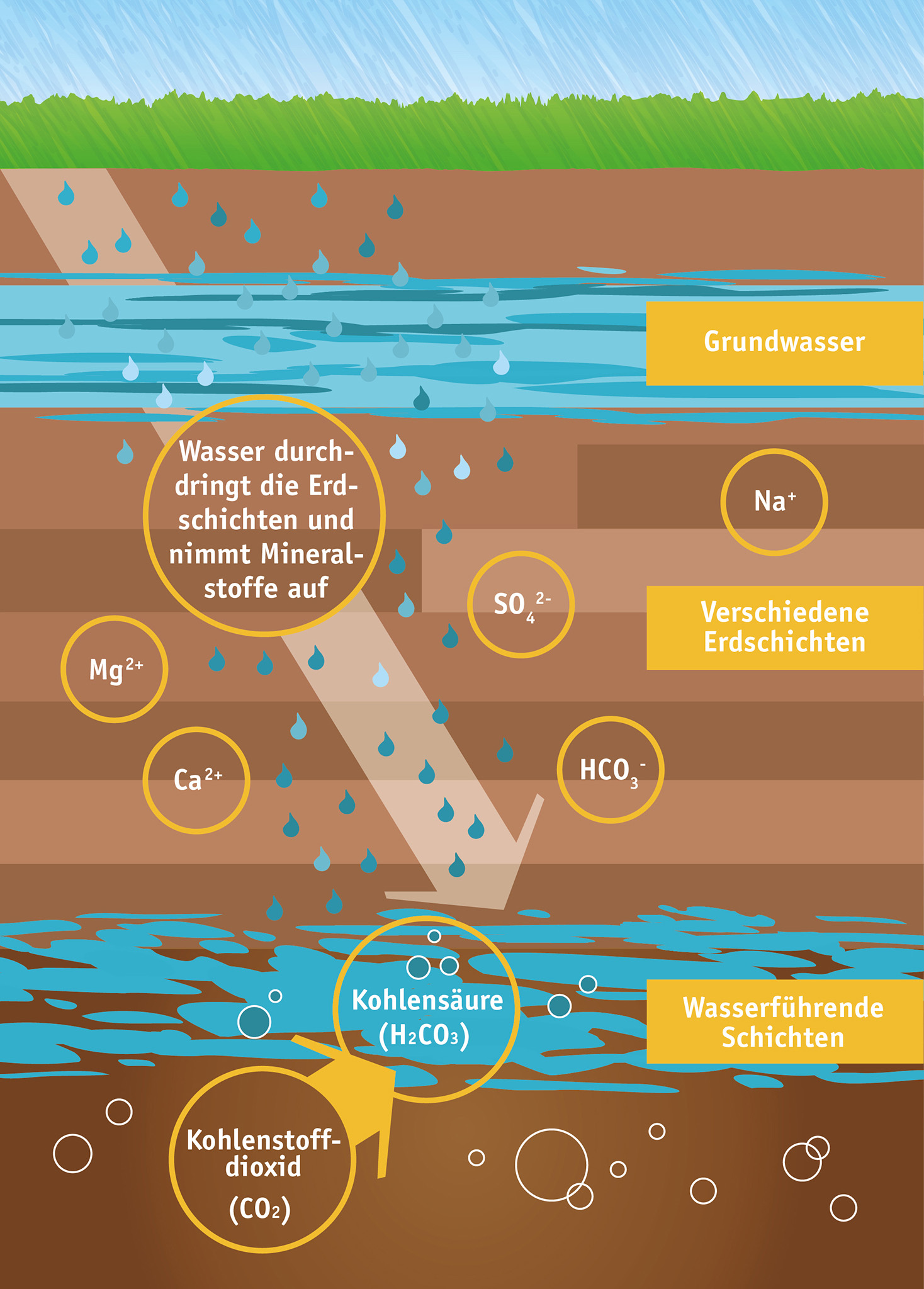 Mineralwasser ist Teil des natürlichen Wasserkreislaufs