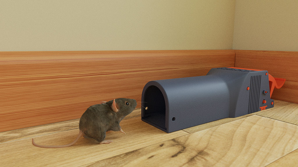 Mäuseplagen verhindern – Raus mit der Maus