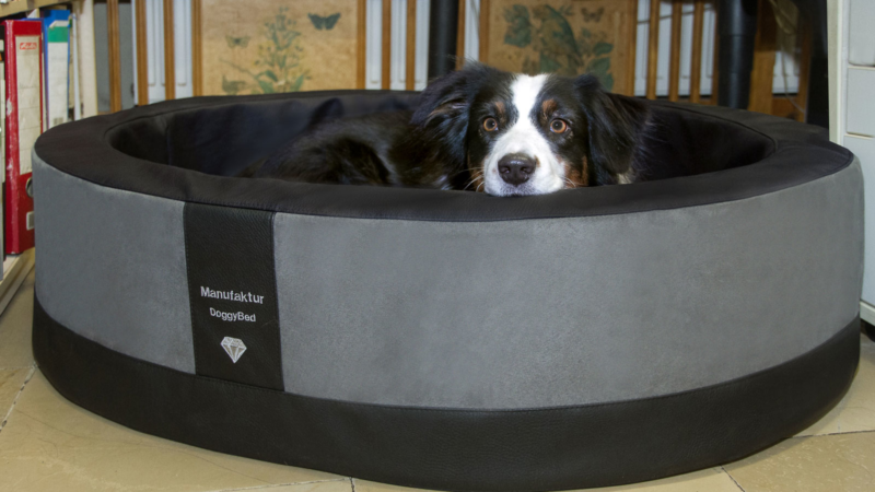 Der ideale Hundekorb für meinen Hund!
