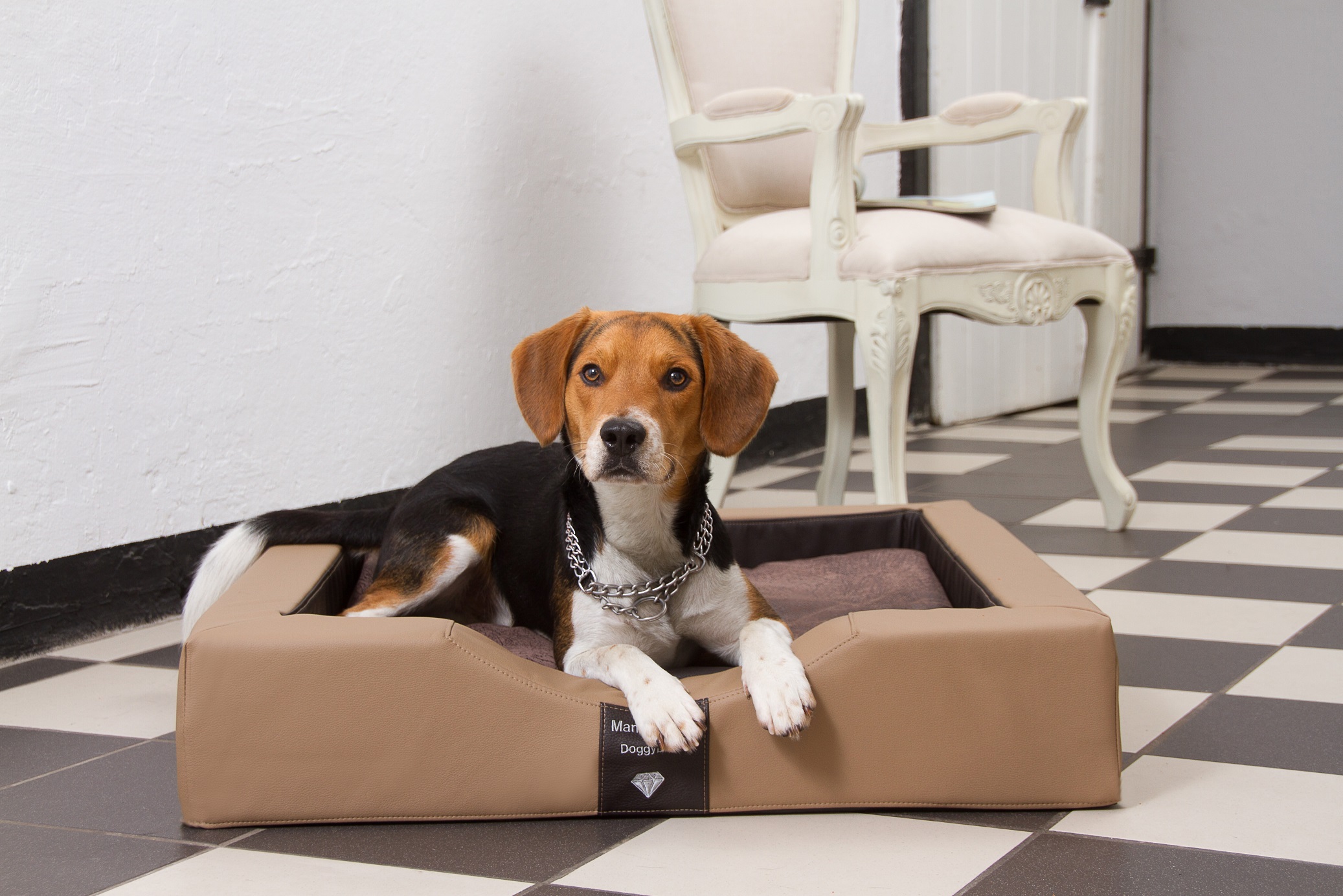 Kleine Hundebettchen jetzt mit GEL-Liegefläche