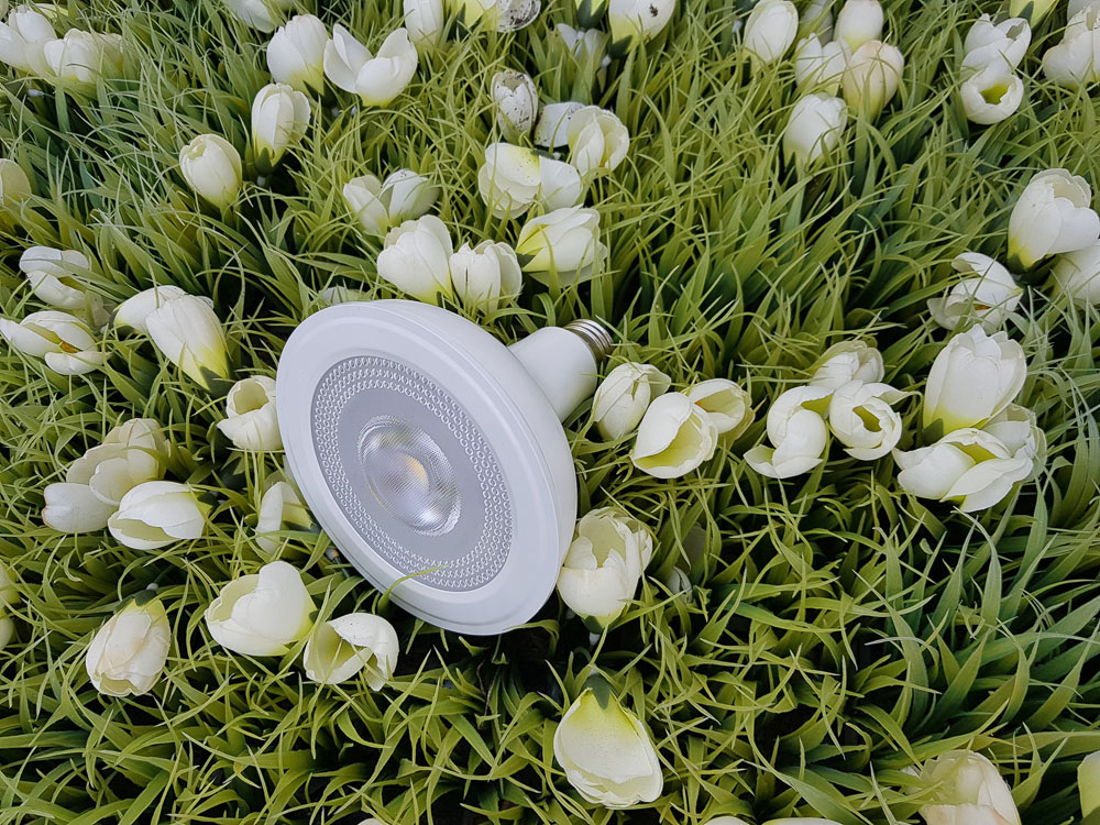 Schnelles Pflanzenwachstum: Lampen nach dem Vorbild der Sonne