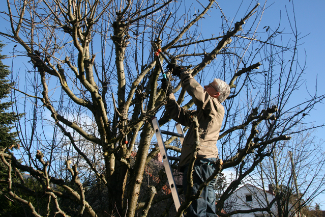 Gesunde Gartenarbeit – Verbraucherinformation der ERGO Group
