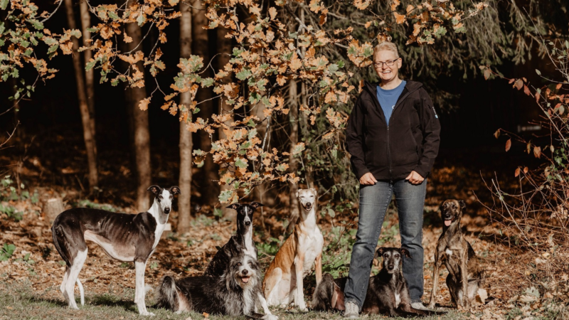 Mehrhundehaltung ist mehr als die Haltung mehrerer Hunde