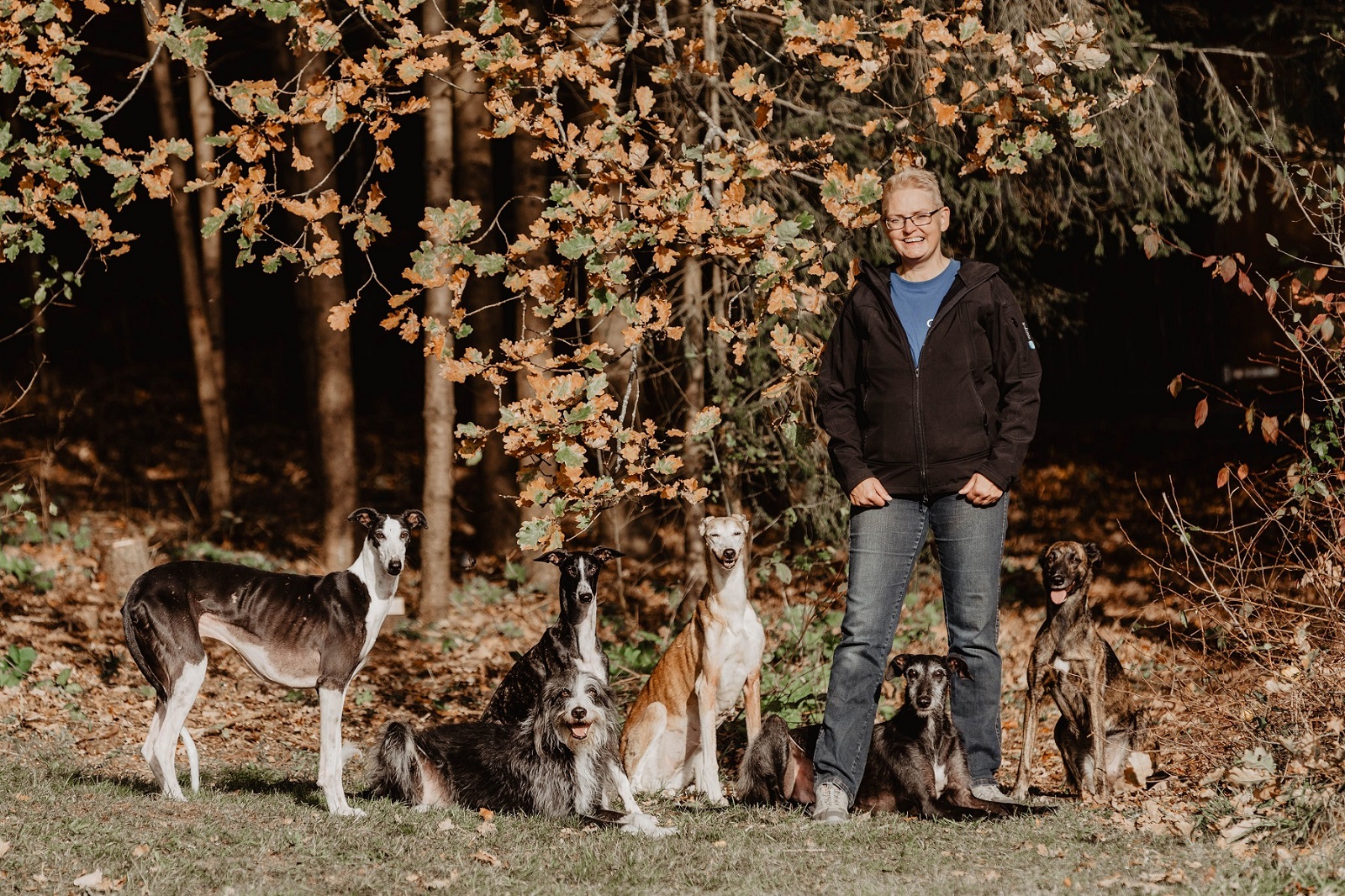 Mehrhundehaltung ist mehr als die Haltung mehrerer Hunde