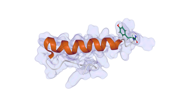 Higher Order Structure (HOS) Analysis: a Kaleidoscopic Analytical Method Approach to Understanding Structure-Function-Relationships in Biologics