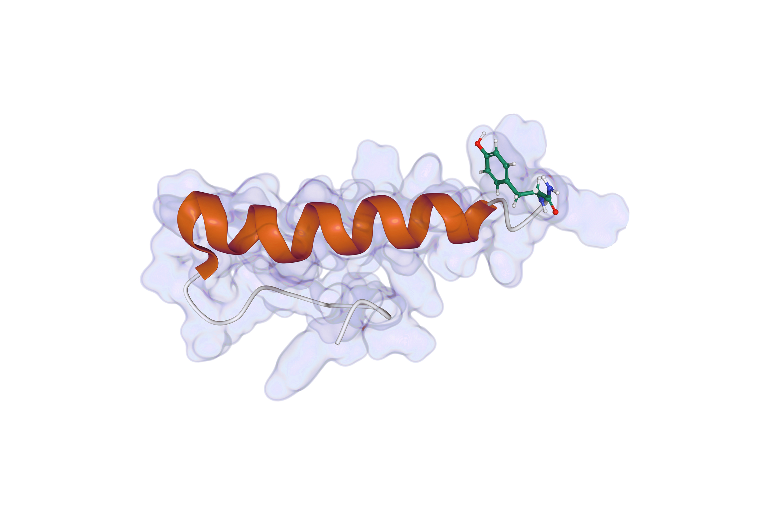 Higher Order Structure (HOS) Analysis: a Kaleidoscopic Analytical Method Approach to Understanding Structure-Function-Relationships in Biologics