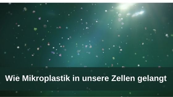 Wie Mikroplastik in unsere Zellen gelangt