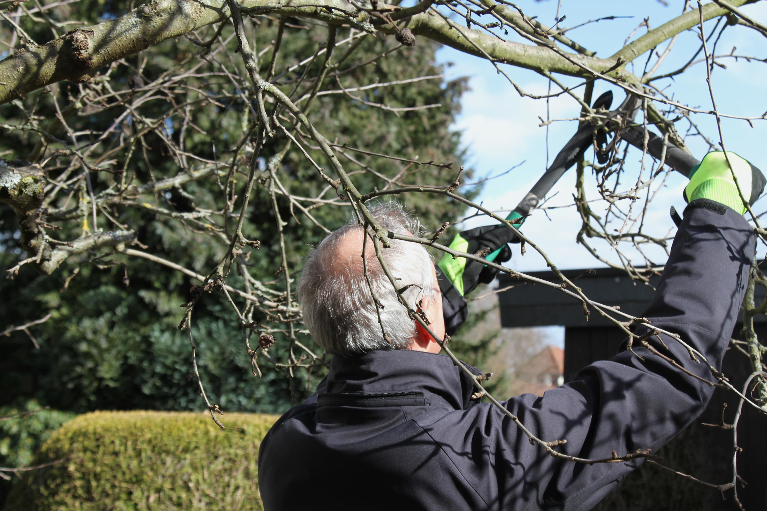 Baumschnitt nicht als Osterfeuer verbrennen