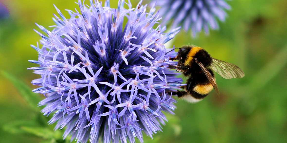 Antiallergische Augentropfen: Symptomen gezielt vorbeugen