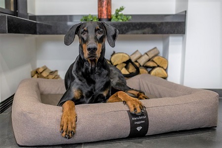 Neue PREMIUM Hundebetten im eleganten Design