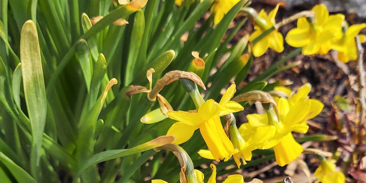 Bioidentische Hormone: Sanfte Hilfe in den Wechseljahren