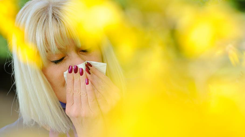 Augentropfen bei Allergie durch Umwelteinflüsse