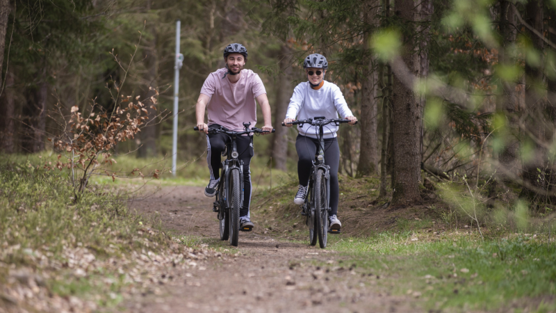 Unfall oder Diebstahl – wie sind Pedelecs versichert?