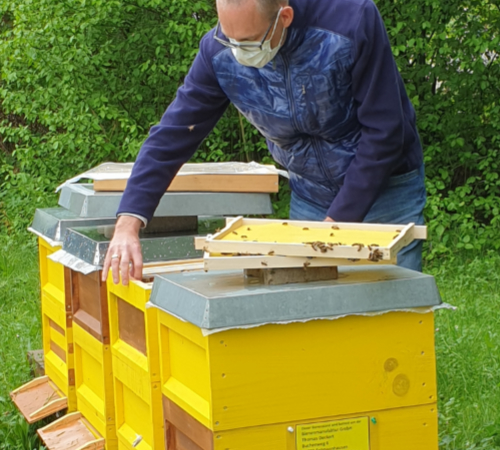 Etiket Schiller begrüßt vier Bienenvölker auf Firmengelände