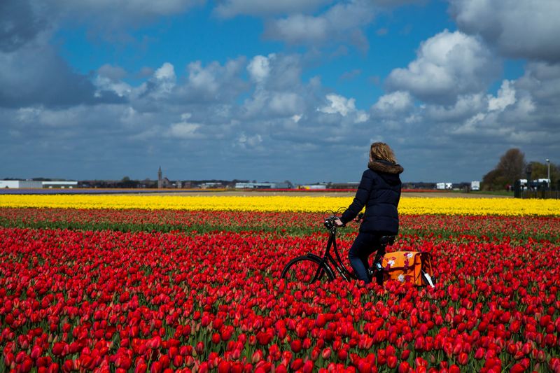 „Radmonat Mai“: Top 2 Fahrradrouten-Tipps rund um Zandvoort