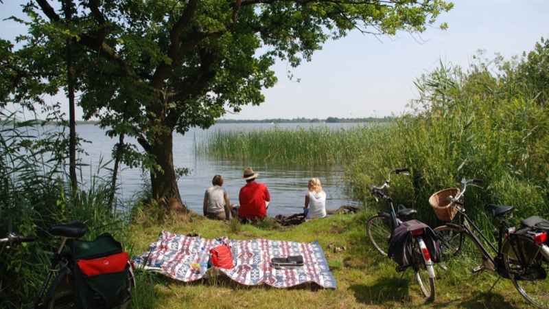 Picknick im Grünen: Auch Essensreste sind Müll