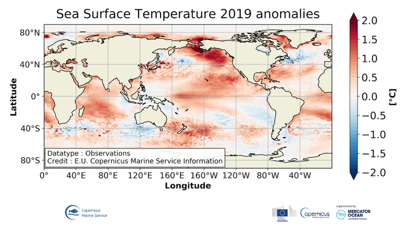 Welttag der Ozeane: Copernicus betont Langzeitfolgen des Klimawandels für unsere Meere