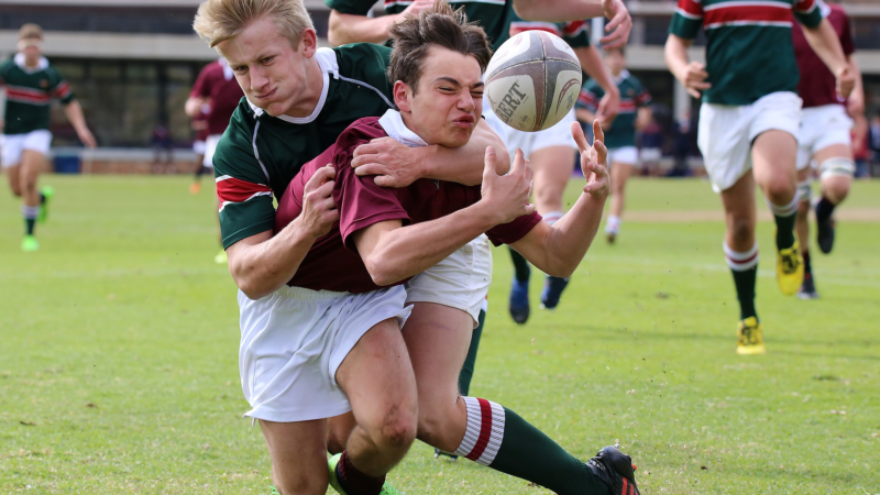 Rugby-Domains: Anpfiff im Juli