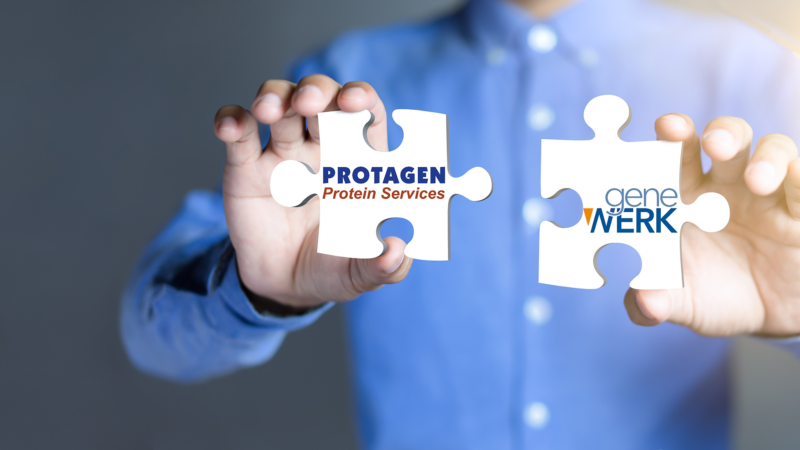 Protagen Protein Services Merges with GeneWerk to Integrate Leading Protein and Gene Therapy Analytic Platforms