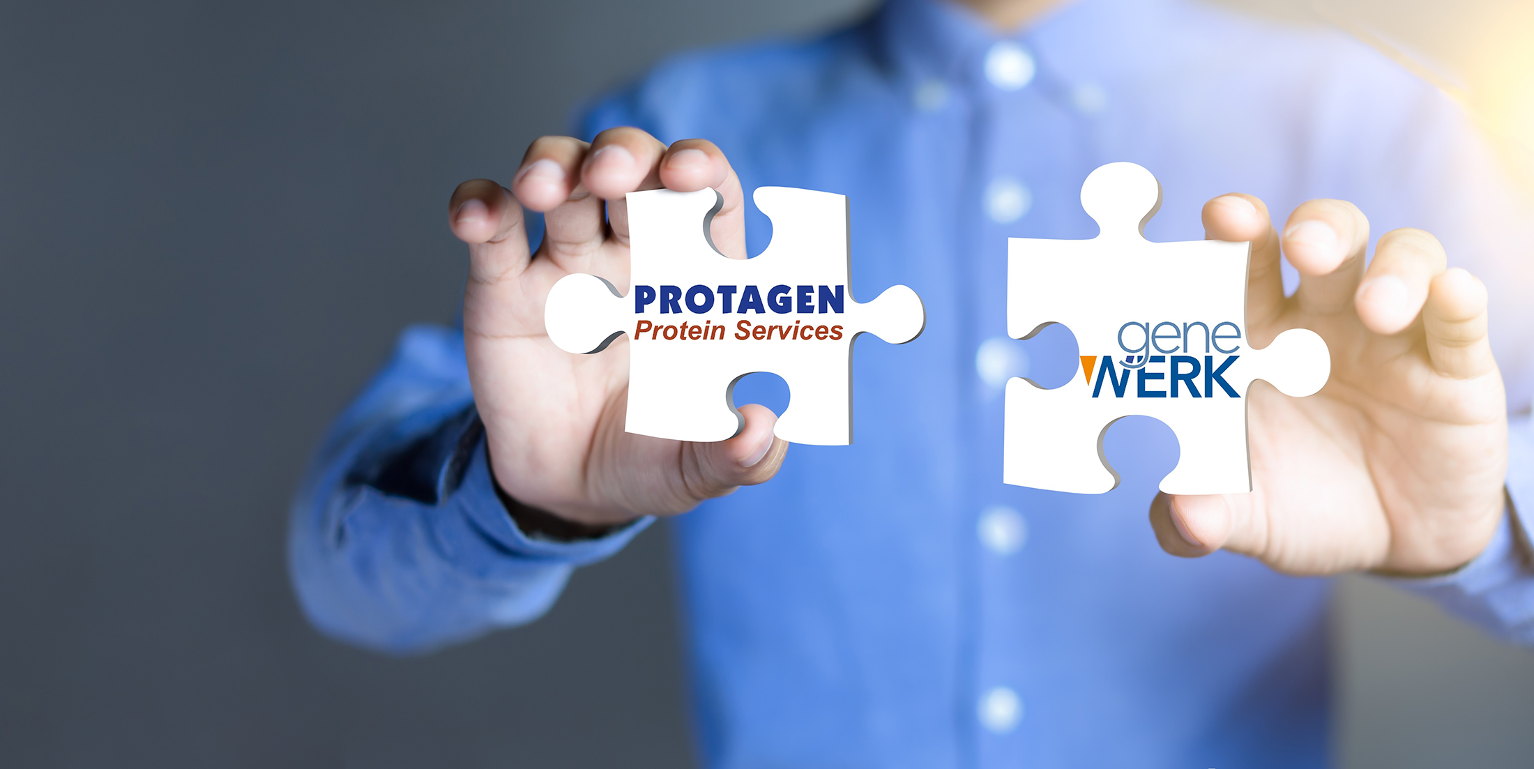 Protagen Protein Services Merges with GeneWerk to Integrate Leading Protein and Gene Therapy Analytic Platforms