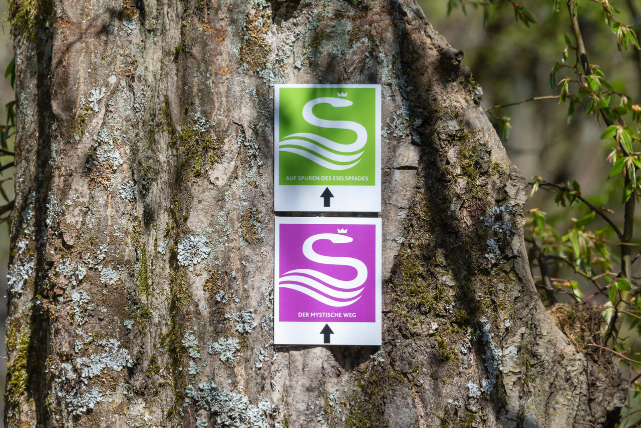 Schlangenbad bietet einzigartige Freizeitmöglichkeiten