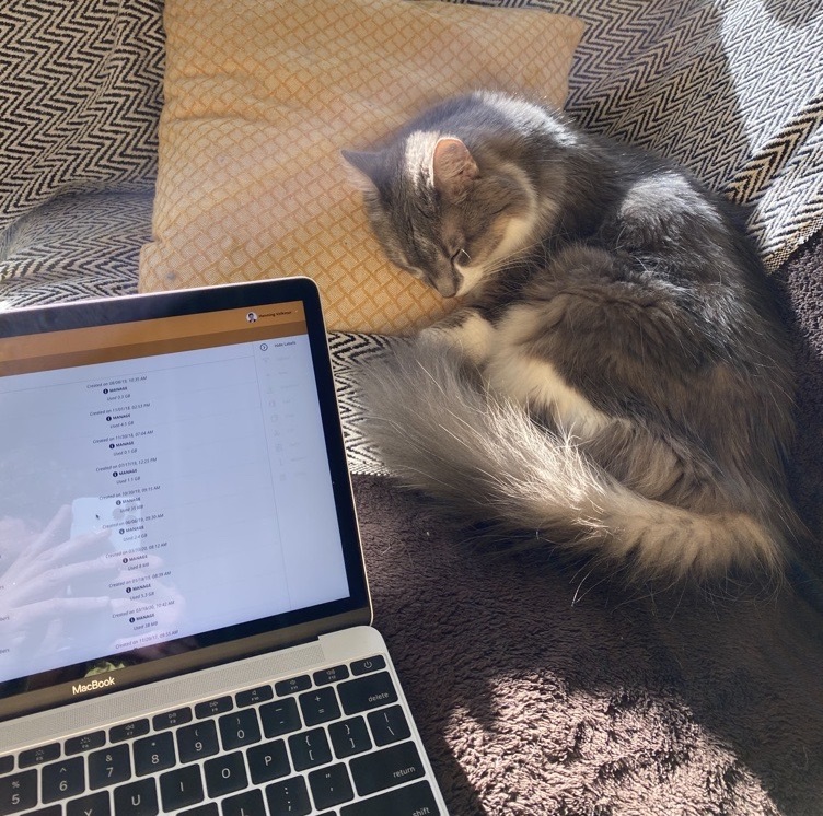 Cloud Printing für Microsofts Windows 365 Cloud PC