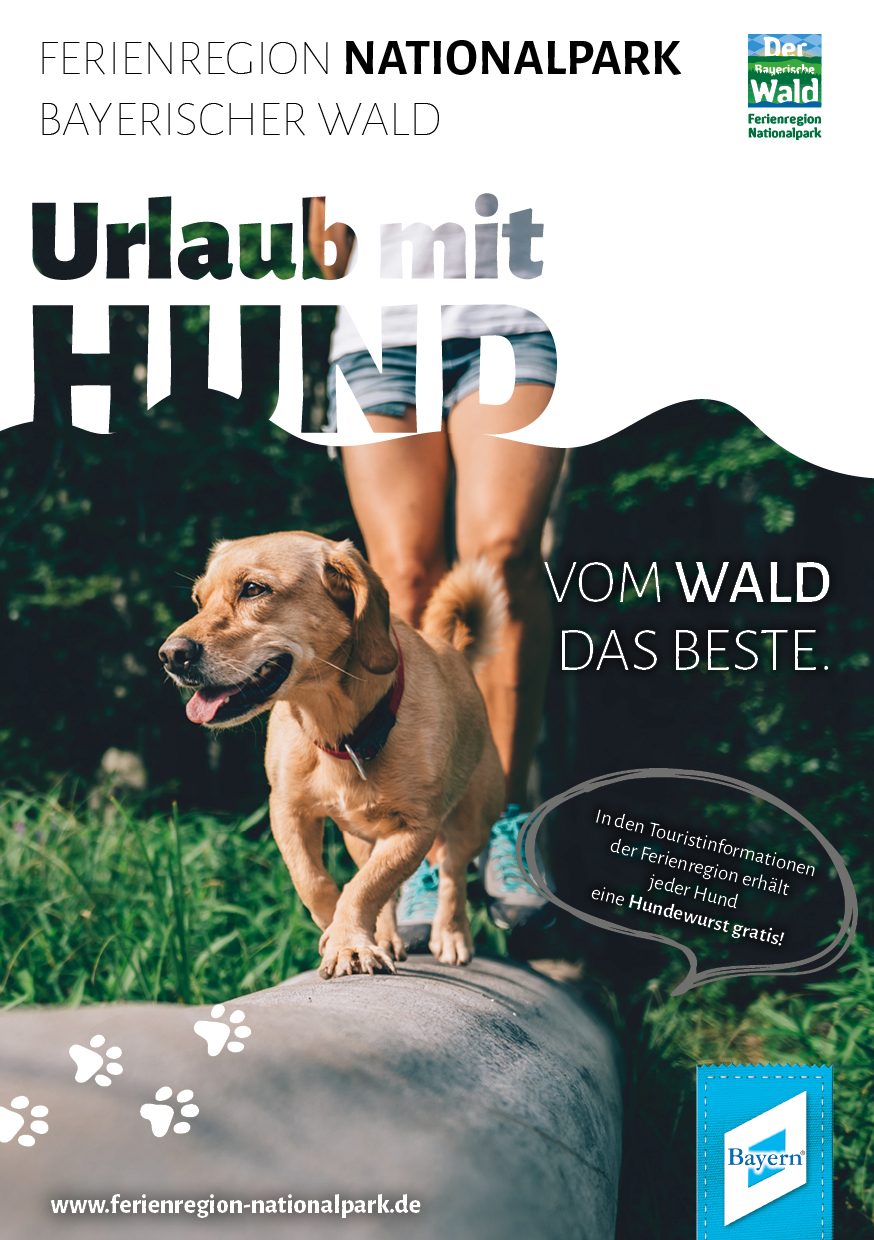 Tierisch gut erholt: Urlaub mit Hund in der Ferienregion Nationalpark Bayerischer Wald