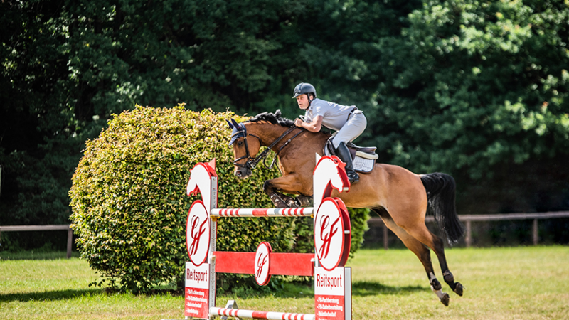 Erfolgreiches Sommerturnier im Harburger Reitverein