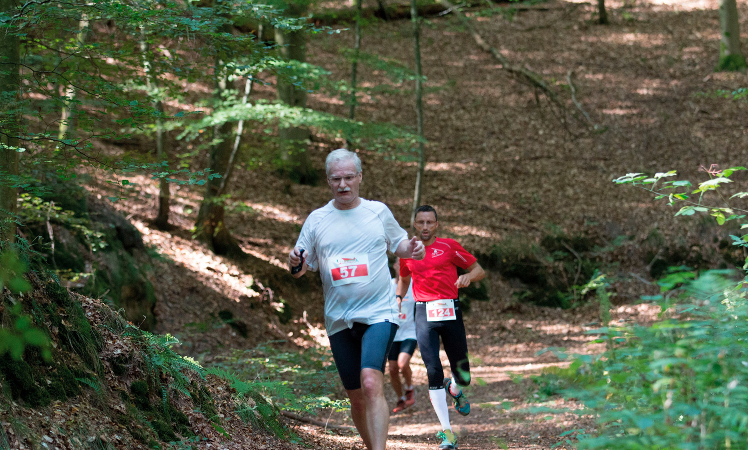 Klein(er), aber fein: Der Pfälzerwald-Marathon 2021 findet statt
