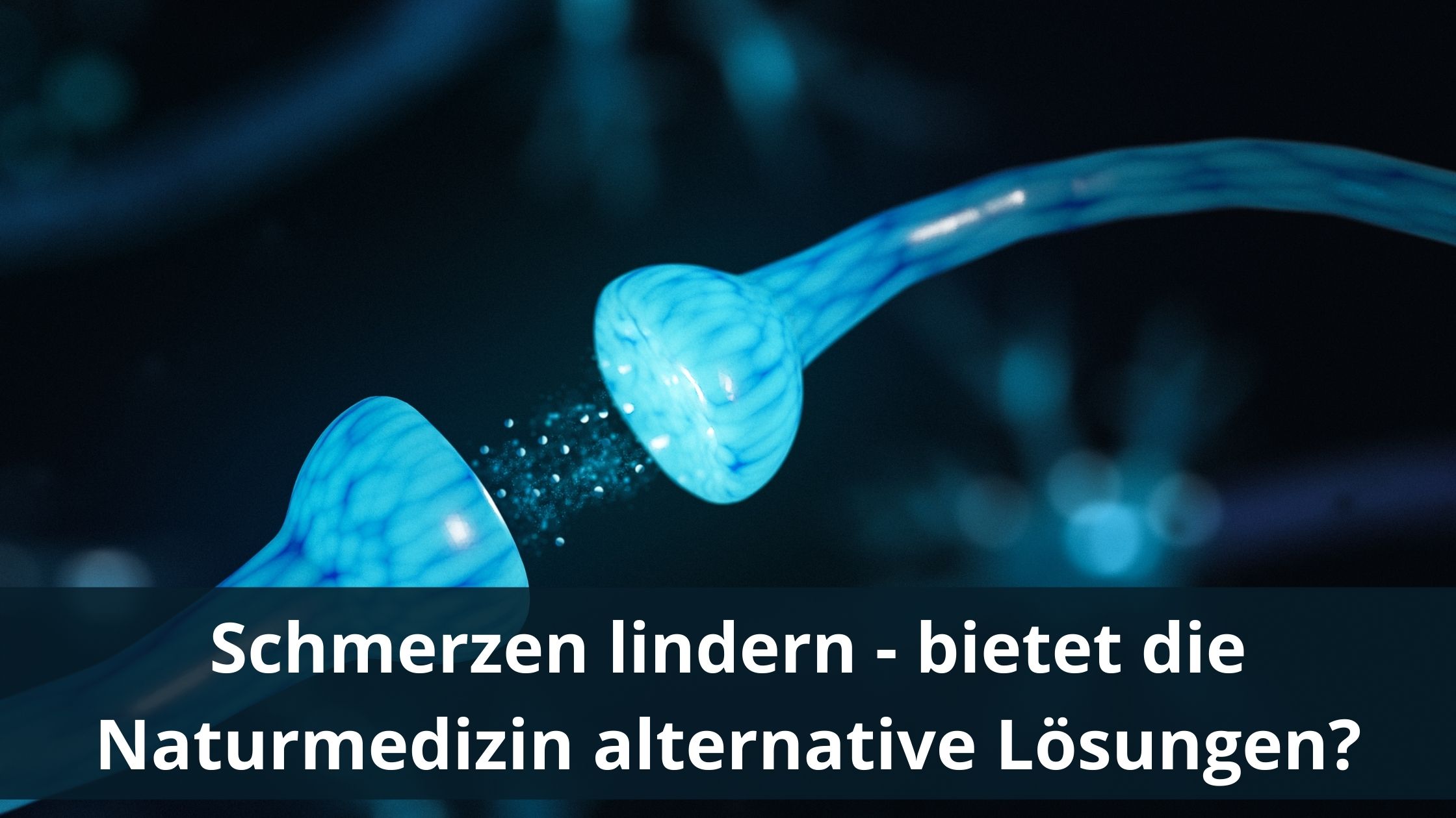 Schmerzen lindern – bietet die Naturmedizin alternative Lösungen?