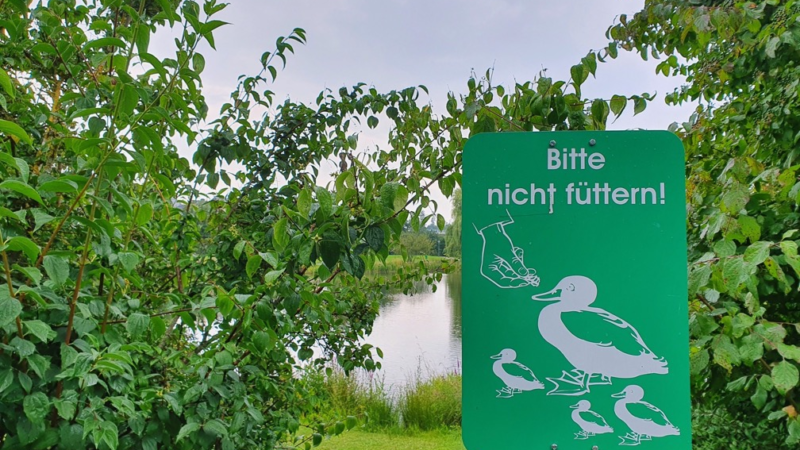 Fremde Tiere füttern: oft verboten – und gefährlich