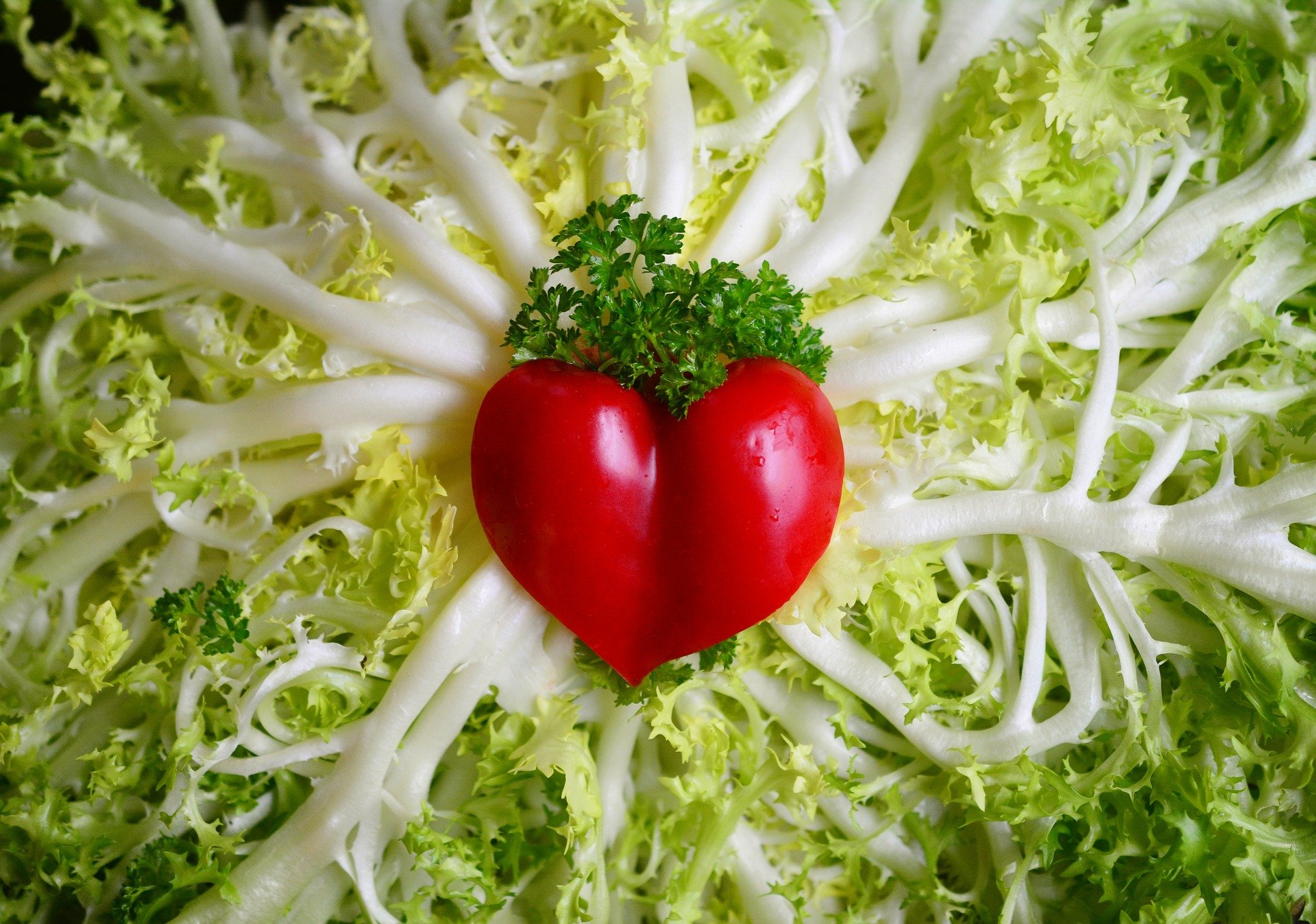 Von Herzen gesund