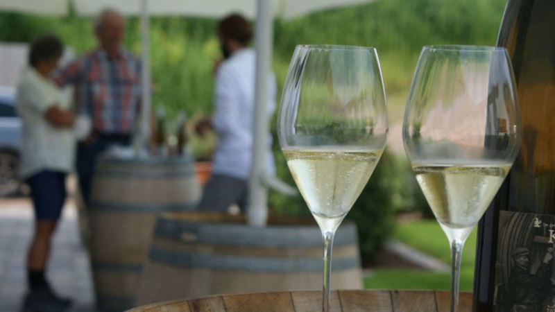 Genussmenschen aufgepasst: Weinprobe in der Pfalz