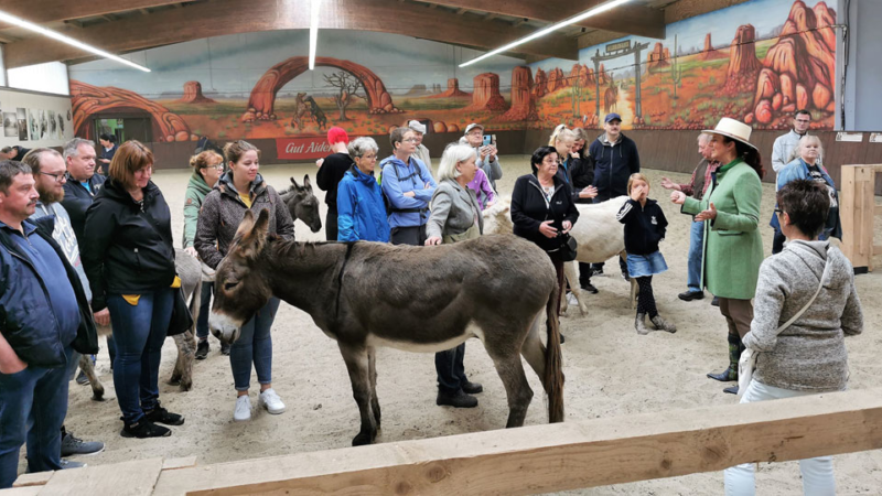 Die Ballermann Ranch ist immer eine Reise wert